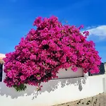 شقة Bela Vista, Panoramic Ocean View