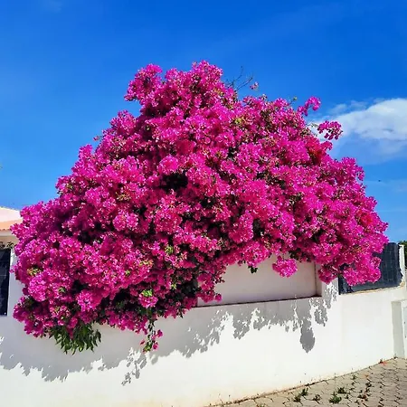 Apartment Bela Vista, Panoramic Ocean View