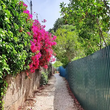 Bela Vista, Panoramic Ocean View Apartamento Porches (Algarve)